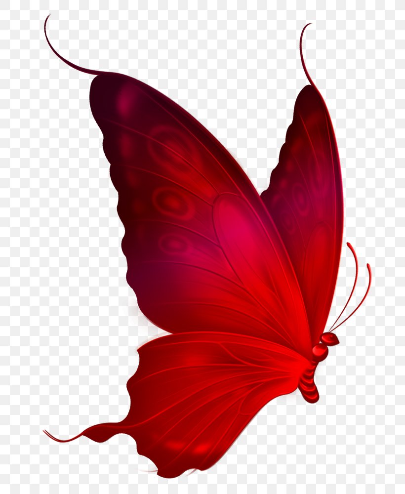 Monarch Butterfly Red Clip Art, PNG, 782x1000px, Butterfly, Arthropod, Autocad Dxf, Brush Footed Butterfly, Butterflies And Moths Download Free