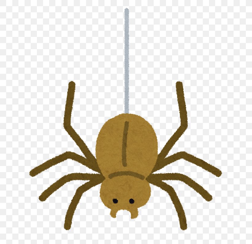 Spider Meaning Synonym Opposite Japan, PNG, 753x794px, Spider, Arachnid, Arthropod, Decapoda, Dictionary Download Free