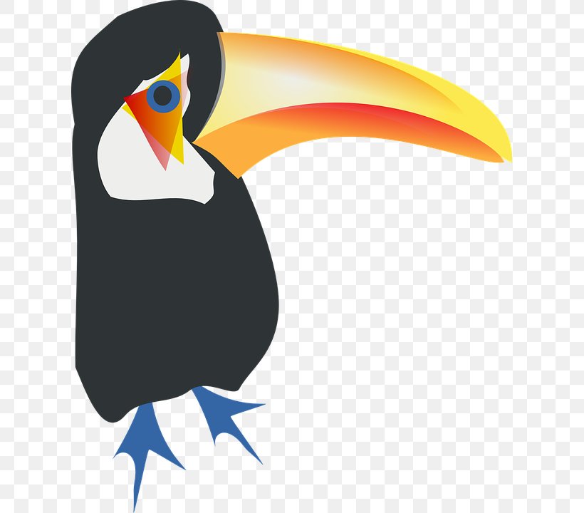 Bird Toco Toucan Parrot Clip Art, PNG, 619x720px, Bird, Beak, Flightless Bird, Keelbilled Toucan, Parrot Download Free