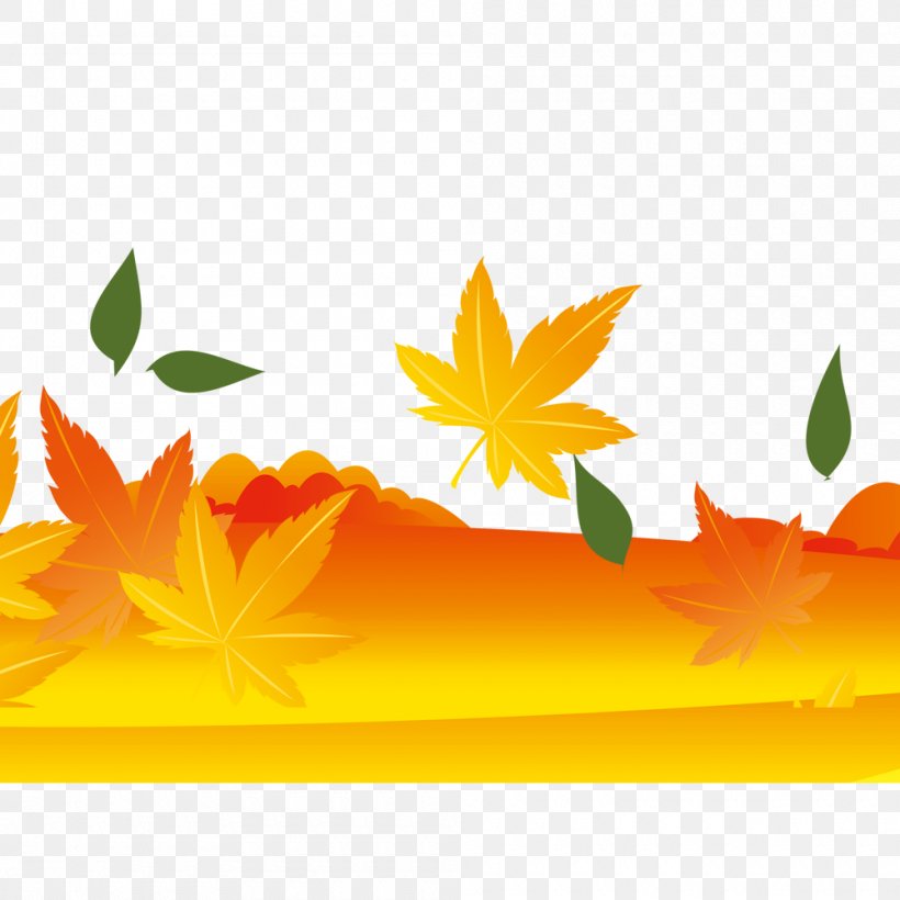 Maple Leaf Yellow Autumn, PNG, 1000x1000px, Maple Leaf, Autumn, Autumn Leaf Color, Deciduous, Flower Download Free
