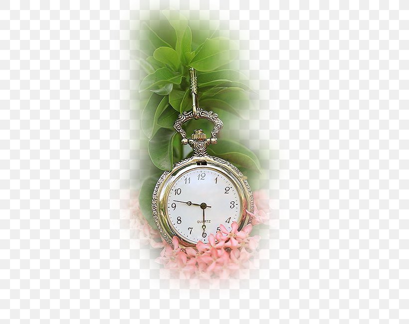 Pocket Watch Pendulum Clock Clockmaker, PNG, 434x650px, Watch, Antique, Clock, Clock Face, Clockmaker Download Free