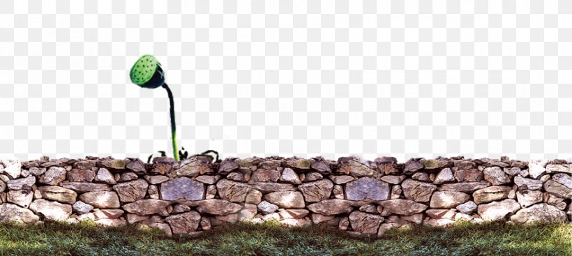 Stone Wall Download, PNG, 884x396px, Stone Wall, Branch, Chemical Element, Google Images, Grass Download Free