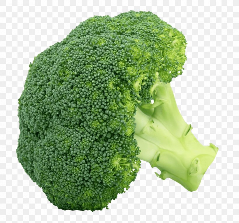 Broccoli Cruciferous Vegetables Clip Art, PNG, 851x797px, Broccoli, Broccoli Slaw, Broccoli Sprouts, Cauliflower, Cruciferous Vegetables Download Free