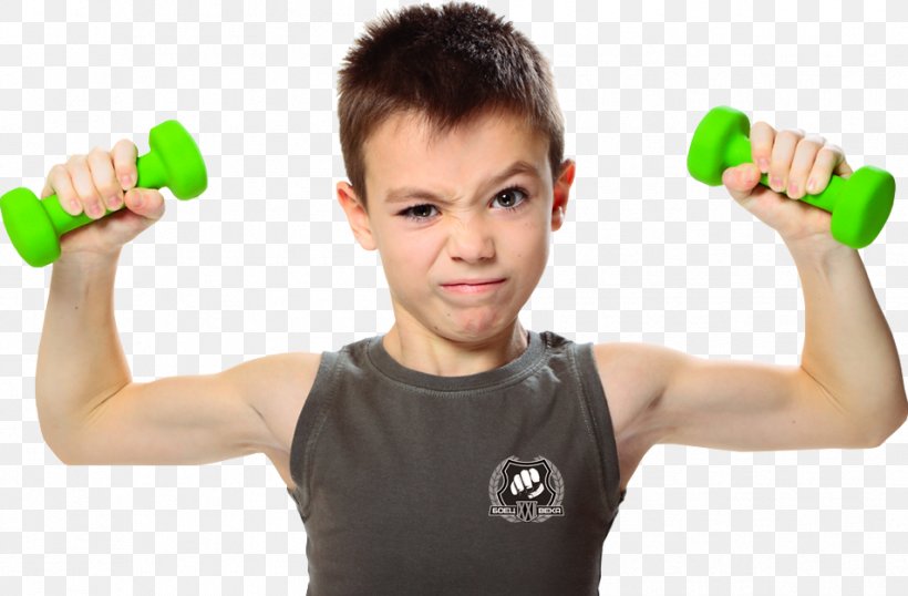 Exercise Equipment Fitness Centre Child, PNG, 953x626px, Exercise Equipment, Abdomen, Arm, Bench, Boxing Glove Download Free