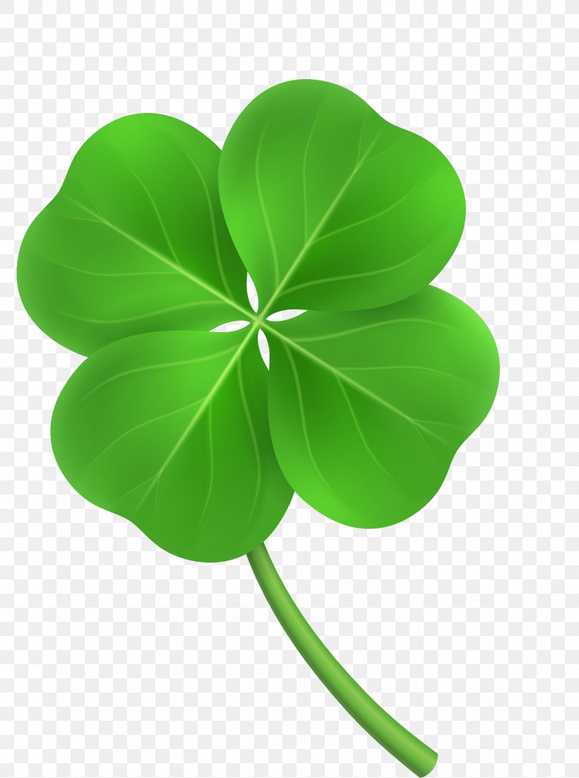 Four-leaf Clover Clip Art, PNG, 1493x2005px, Clover, Avatar, Flower, Flowering Plant, Fourleaf Clover Download Free