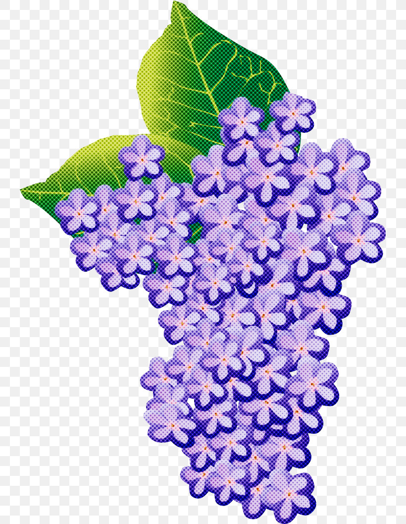 Hydrangea Summer Flower, PNG, 740x1057px, Hydrangea, Floral Design, Flower, French Hydrangea, Grape Leaves Download Free