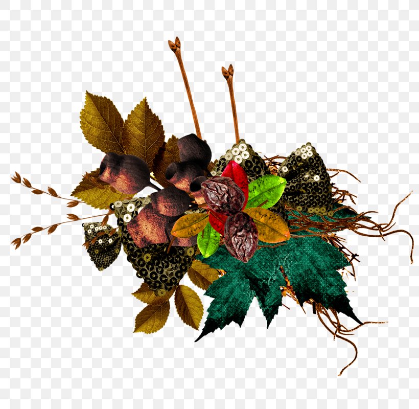 Floral Design, PNG, 800x800px, Floral Design, Branch, Flower Arranging, Fruit, Leaf Download Free