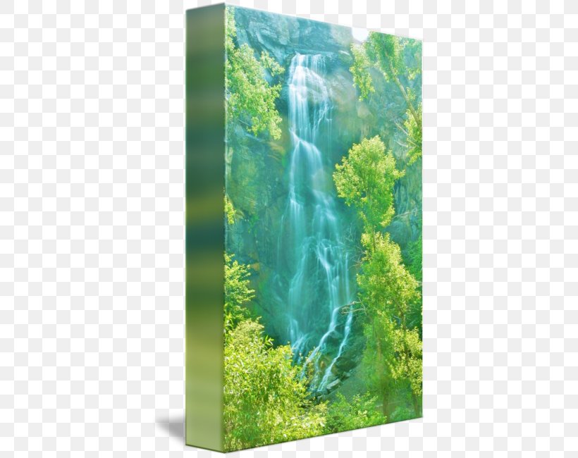 Nature Reserve Water Resources Biome Waterfall Vegetation, PNG, 390x650px, Nature Reserve, Biome, Chute, Ecosystem, Grass Download Free
