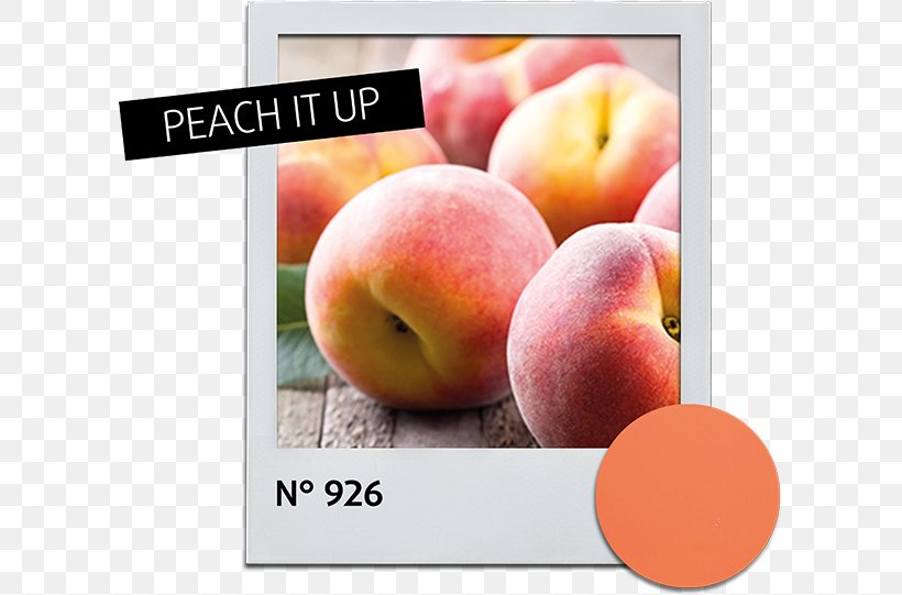Peach Fruit Cordial Food Nectarine, PNG, 603x541px, Peach, Apple, Auglis, Cherry, Cordial Download Free