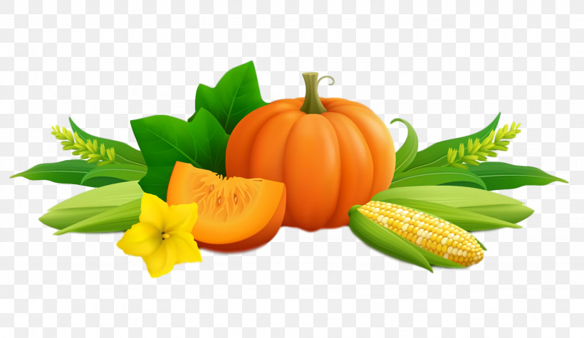 Thanksgiving Autumn Harvest, PNG, 2048x1188px, Thanksgiving, Apostrophe, Autumn, Fruit, Gourd Download Free