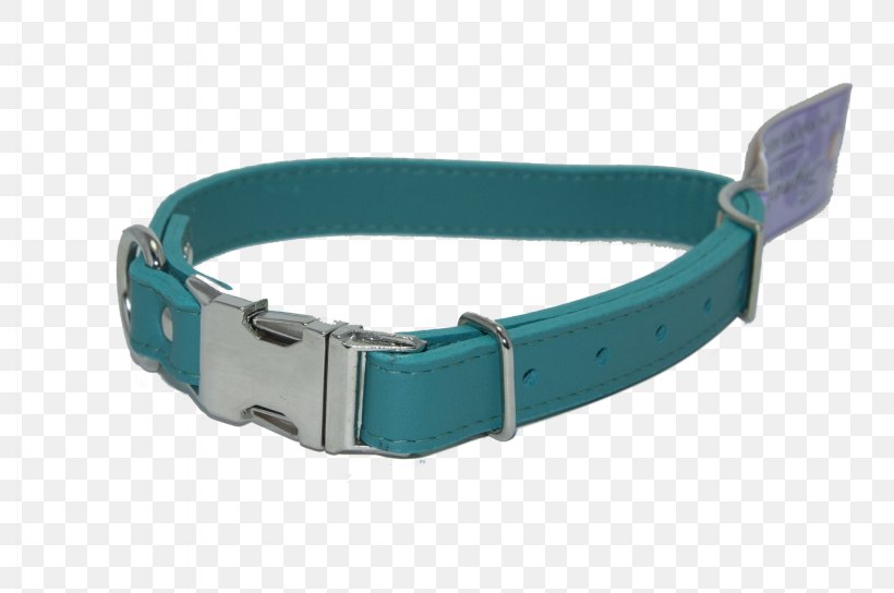 Belt Dog Collar, PNG, 2048x1360px, Belt, Collar, Dog, Dog Collar, Fashion Accessory Download Free