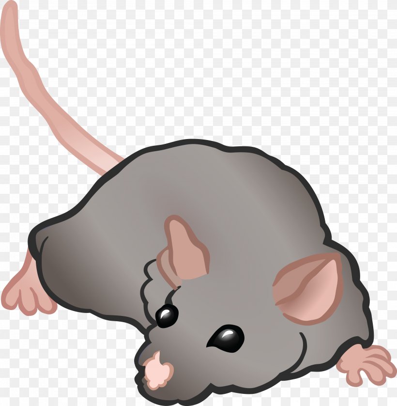 Computer Mouse Rat Rodent, PNG, 4000x4088px, Mouse, Carnivoran, Cartoon, Cat, Cat Like Mammal Download Free