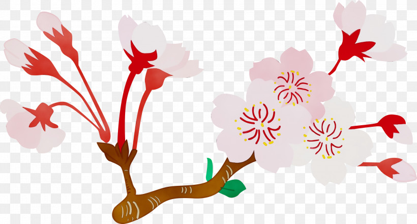Flower Plant Pedicel Branch Plant Stem, PNG, 3000x1610px, Cherry Flower, Blossom, Branch, Floral, Flower Download Free