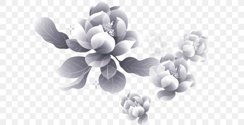 Moutan Peony Flower Petal, PNG, 599x420px, Peony, Black And White, Depositfiles, Flower, Garden Roses Download Free
