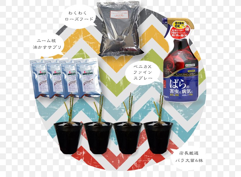Rose Product Bag Fukubukuro Mail Order, PNG, 650x600px, Rose, Bag, Coupon, Fan, Fertilisers Download Free