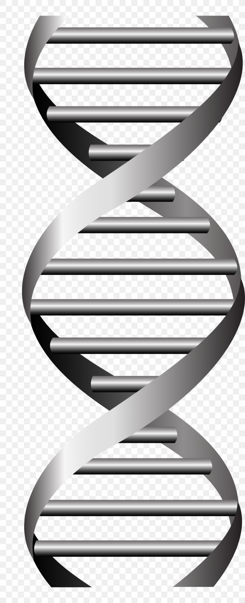 DNA Vector Graphics Nucleic Acid Double Helix Genetics, PNG, 911x2242px, Dna, Blackandwhite, Furniture, Gene, Genetics Download Free