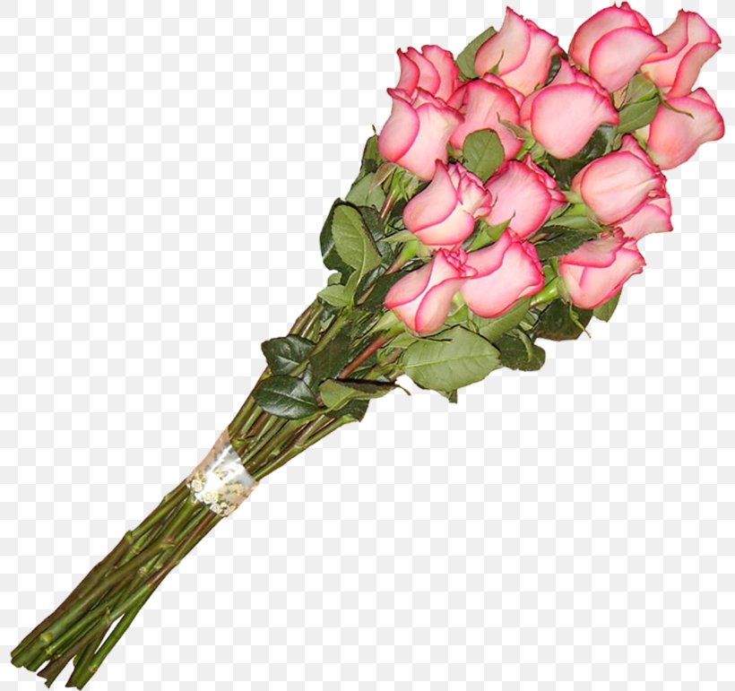Flower Bouquet, PNG, 800x771px, Flower, Artificial Flower, Bud, Color, Concepteur Download Free