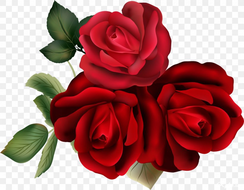 Flower Garden Roses Clip Art, PNG, 1000x781px, Flower, Archive File, Cut Flowers, Floral Design, Floribunda Download Free