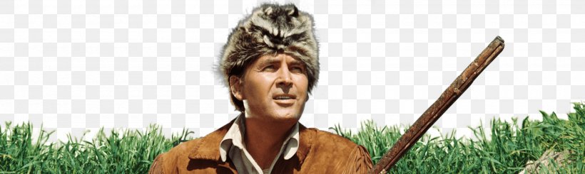 Kings Of The Wild Frontier Grasses Davy Crockett, King Of The Wild Frontier Davy Crockett FilmSeries, PNG, 2000x600px, Kings Of The Wild Frontier, Grass, Grass Family, Grasses, Plant Download Free