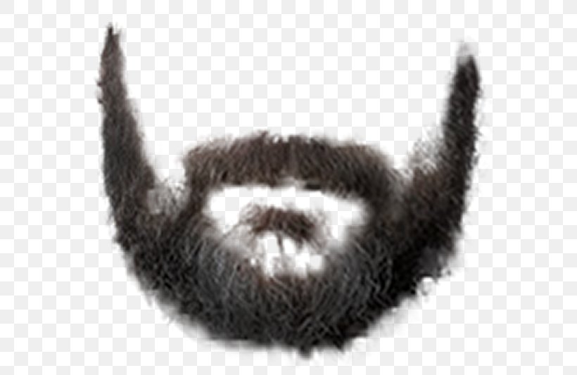 Beard Clip Art, PNG, 600x533px, Beard, Carnivoran, Cat, Cat Like Mammal, Drawing Download Free