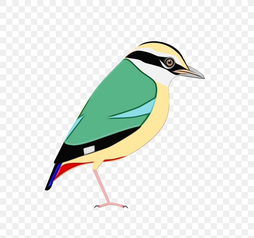 Cartoon Bird, PNG, 768x768px, Finches, Beak, Bird, Feather, Finch Download Free