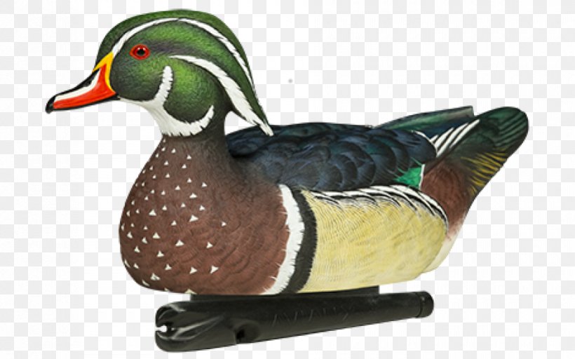 Duck Decoy Mallard Bird, PNG, 940x587px, Duck, American Black Duck, Atlantic Flyway, Beak, Bird Download Free