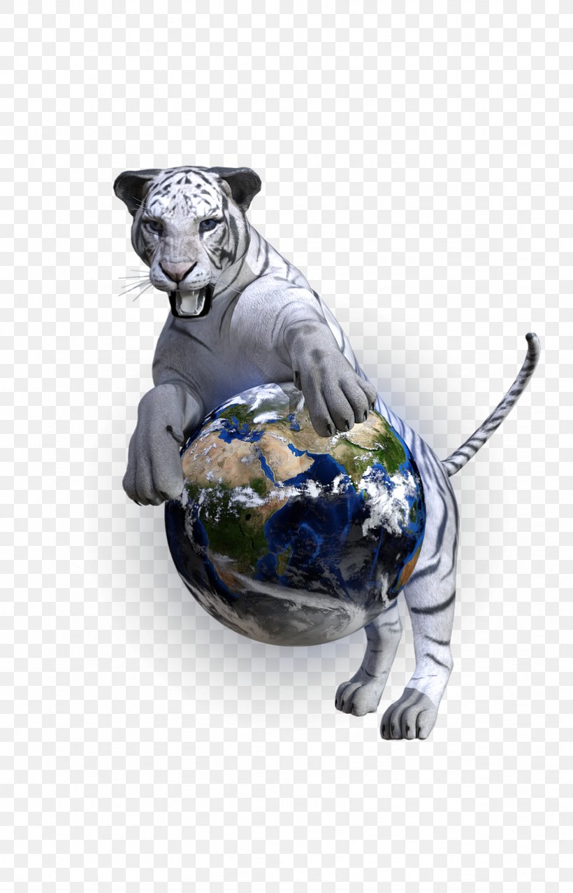 Felidae Bengal Cat Bengal Tiger Wildcat White Tiger, PNG, 822x1280px, Felidae, Animal, Bengal Cat, Bengal Tiger, Big Cat Download Free