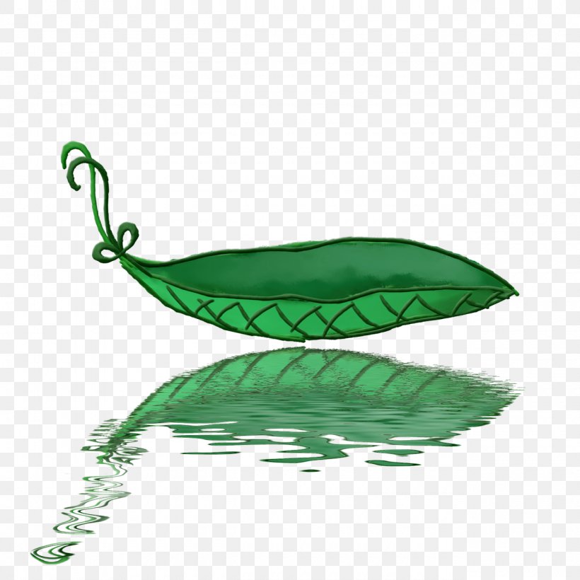 Leaf Boat Leaf Boat Petal, PNG, 1280x1280px, Leaf, Animation, Boat, Green, Insect Download Free