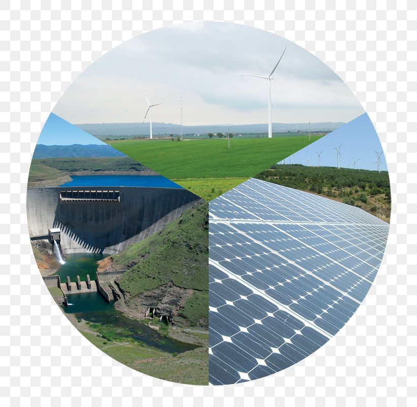Renewable Energy Exploitation Of Natural Resources Groupe E Italy, PNG, 800x800px, Energy, Backup, Cunt, Delle, Exchange Rate Download Free