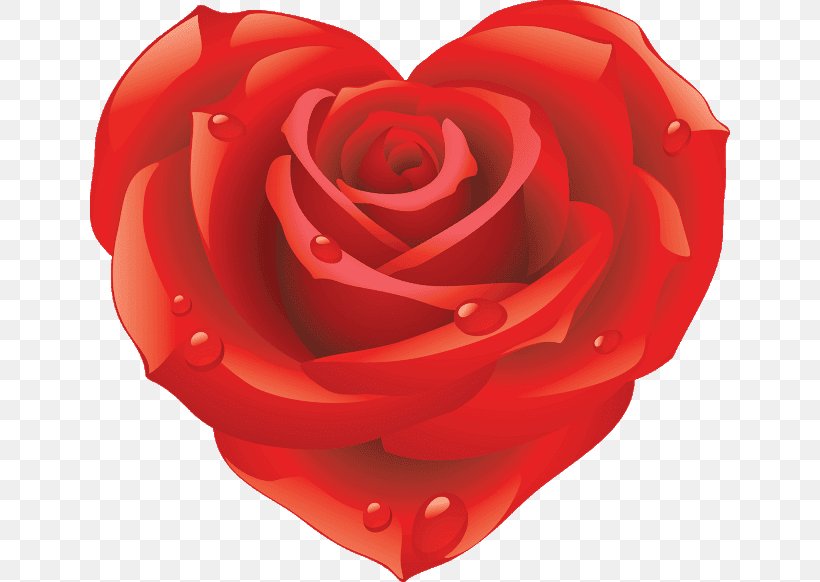 Best Roses Desktop Wallpaper Download Clip Art, PNG, 640x582px, Best Roses, Cut Flowers, Display Resolution, Floribunda, Flower Download Free