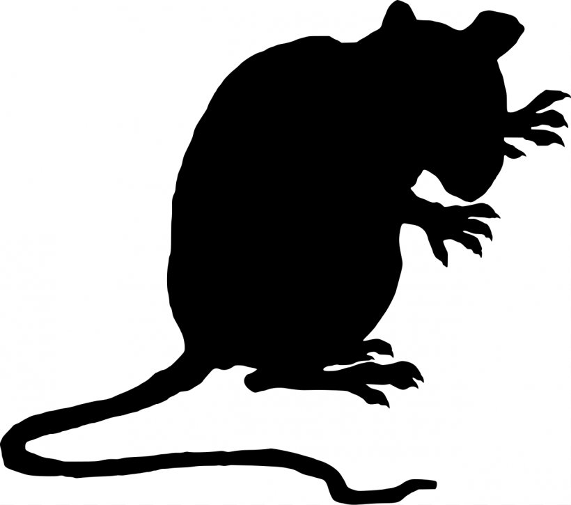 Brown Rat Black Rat Laboratory Rat Mouse Clip Art, PNG, 1261x1115px, Brown Rat, Artwork, Beaver, Black, Black And White Download Free