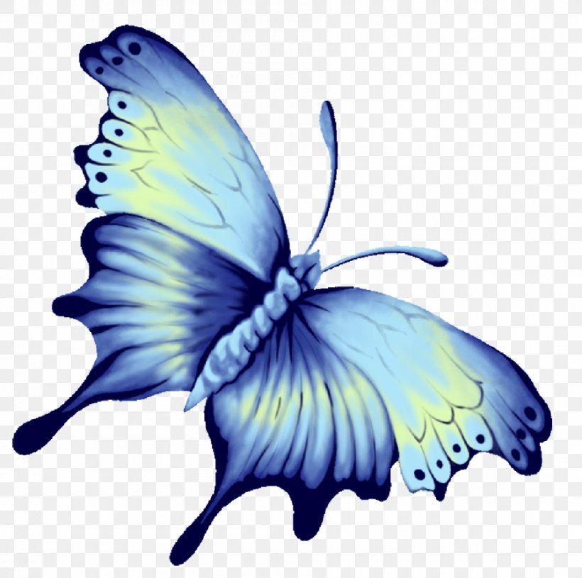 Butterfly Blue Download Computer File, PNG, 900x895px, Butterfly, Blue, Brush Footed Butterfly, Fairy, Flower Download Free