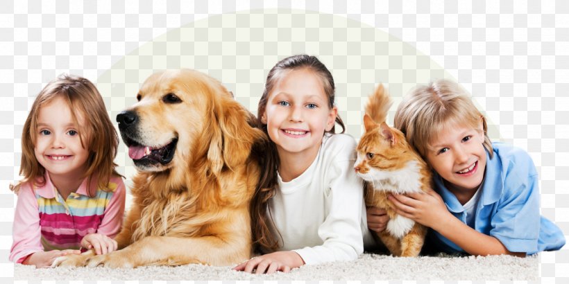 Cat Dog Pet Shop Family, PNG, 1336x668px, Cat, Animal, Canidae, Carnivore, Child Download Free