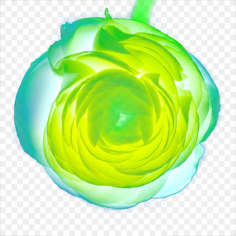 Green Circle, PNG, 900x900px, Green, Yellow Download Free
