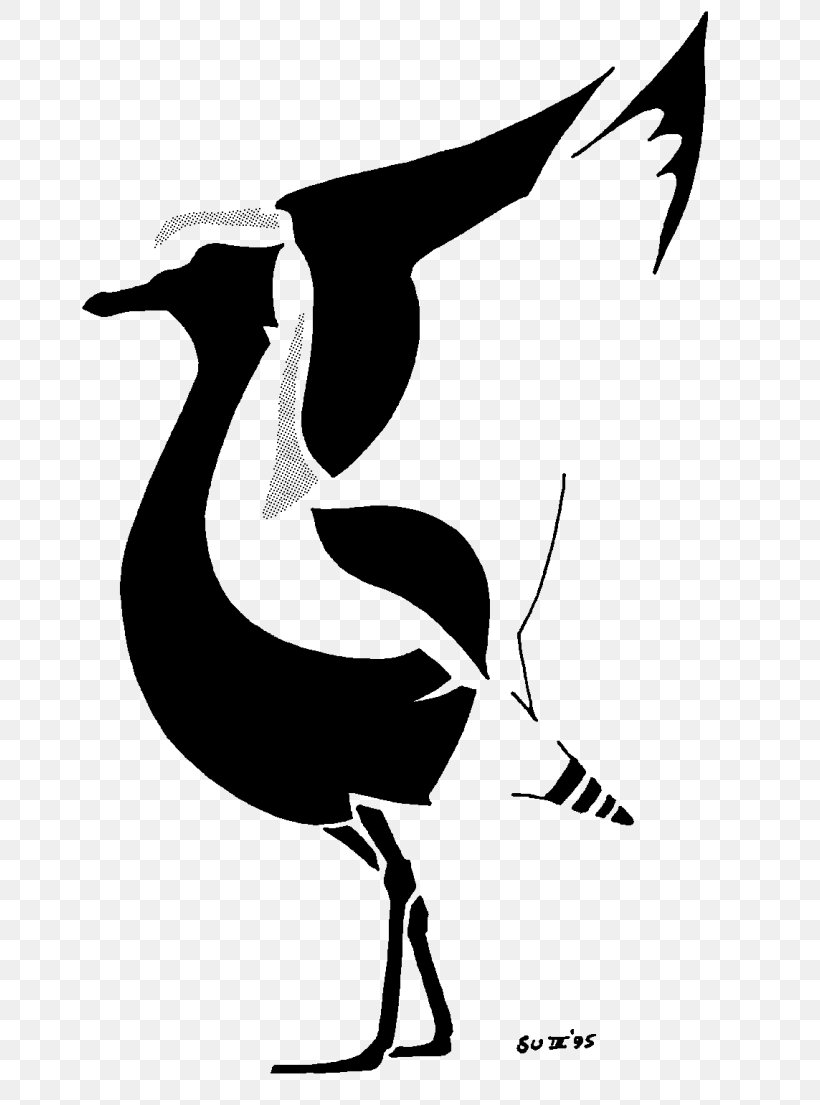 Hornbill Bird, PNG, 768x1105px, Wader, American Golden Plover, Animal, Beak, Bird Download Free