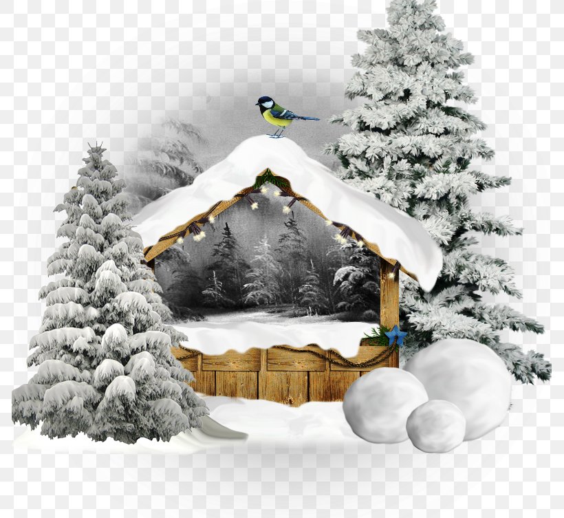 Snow Winter Desktop Wallpaper, PNG, 785x753px, Snow, Christmas, Christmas Decoration, Christmas Ornament, Christmas Tree Download Free