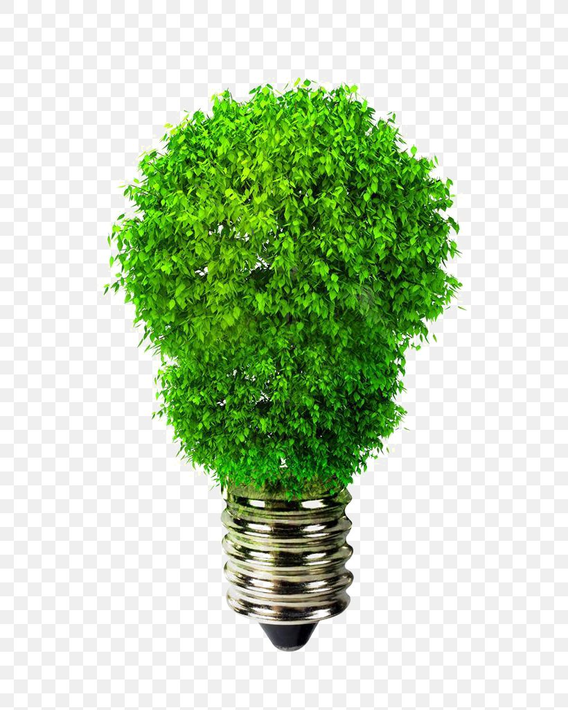 Light-emitting Diode LED Lamp Efficient Energy Use Incandescent Light Bulb, PNG, 732x1024px, Light, Efficiency, Efficient Energy Use, Electric Light, Energy Download Free