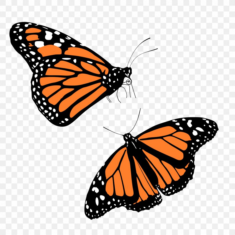 Monarch Butterfly Insect Clip Art, PNG, 2400x2400px, Monarch Butterfly, Arthropod, Biological Life Cycle, Brush Footed Butterfly, Butterfly Download Free