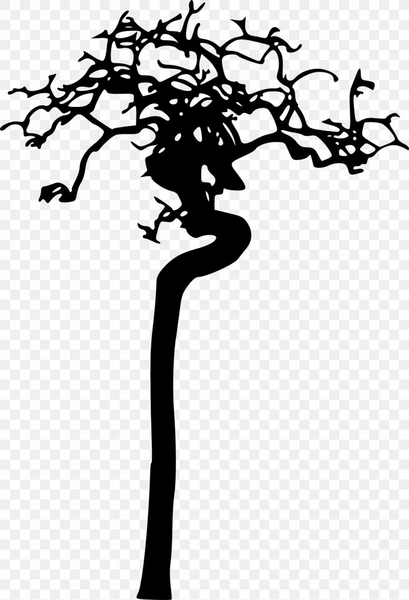 Silhouette Photography Tree, PNG, 1095x1605px, Silhouette, Artwork, Black And White, Branch, Flower Download Free