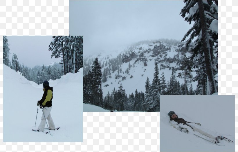 Ski Bindings Ski Touring Ski Poles Piste, PNG, 802x525px, Ski Bindings, Geological Phenomenon, Glacial Landform, Massif, Mountain Download Free