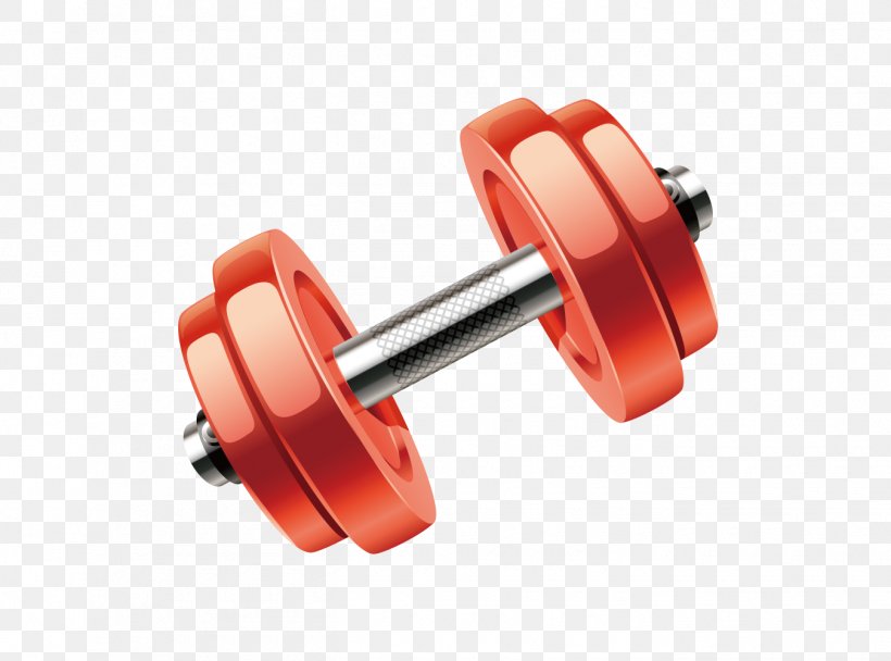 Weights Dumbbell Exercise Equipment Wheel, PNG, 1350x1001px, Weights, Dumbbell, Exercise Equipment, Wheel Download Free