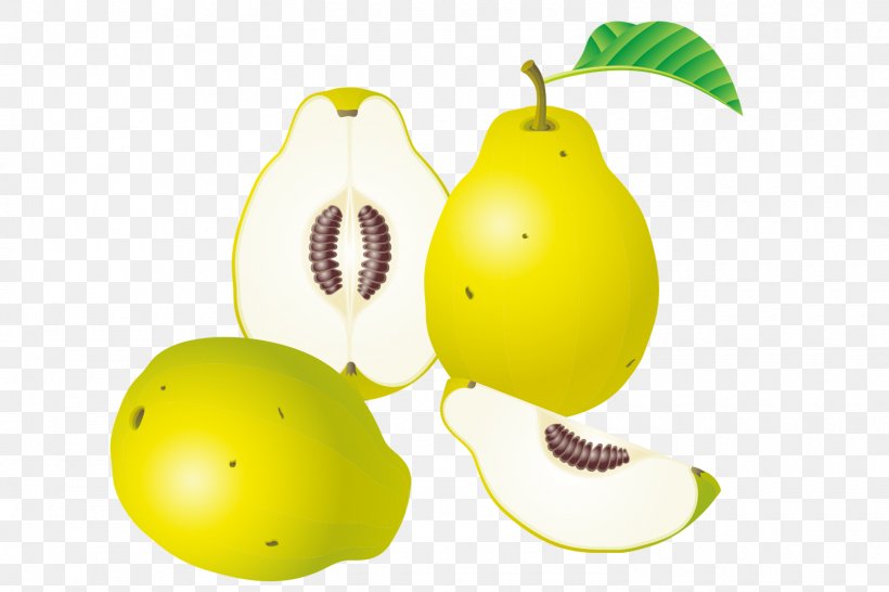 Euclidean Vector Fruit Clip Art, PNG, 1500x1000px, Fruit, Apple, Citrus, Food, Pear Download Free