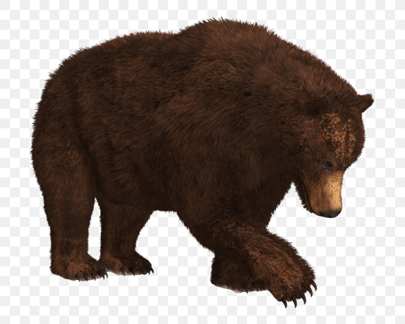Polar Bear Alaska Peninsula Brown Bear Clip Art, PNG, 803x657px, Bear, Alaska Peninsula Brown Bear, American Black Bear, Brown Bear, Carnivoran Download Free