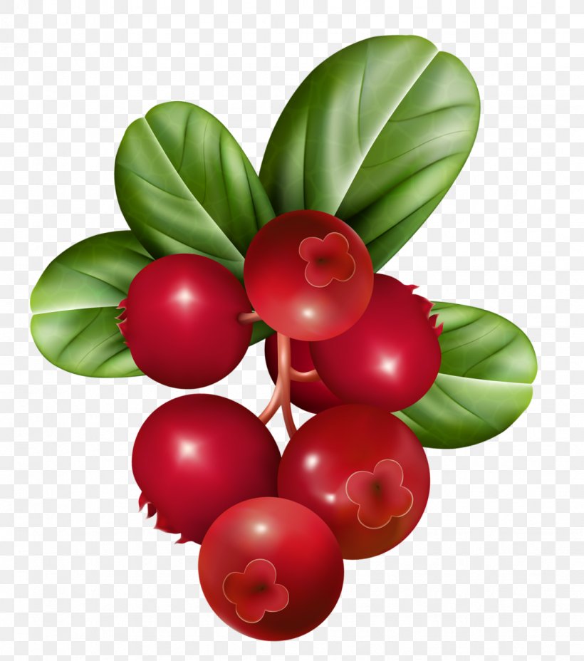 Vector Graphics Berries Fruit Illustration Raspberry, PNG, 1131x1280px, Berries, Acerola Family, Arctostaphylos, Arctostaphylos Uvaursi, Berry Download Free