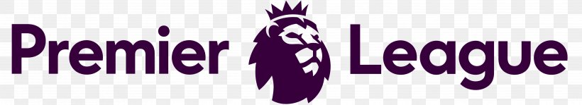 2017u201318 Premier League England English Football League Stoke City F.C. EFL Cup, PNG, 5179x942px, England, Association Football Manager, Banner, Brand, Efl Cup Download Free