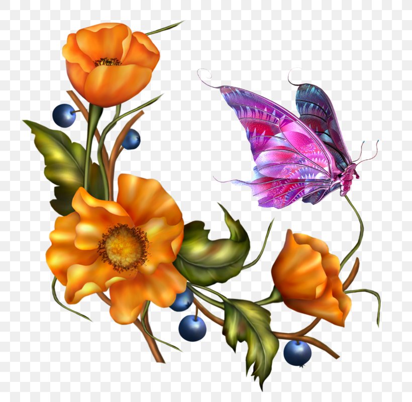 Butterfly Papillon Dog Clip Art, PNG, 789x800px, Butterfly, Art, Butterflies And Moths, Color, Cut Flowers Download Free