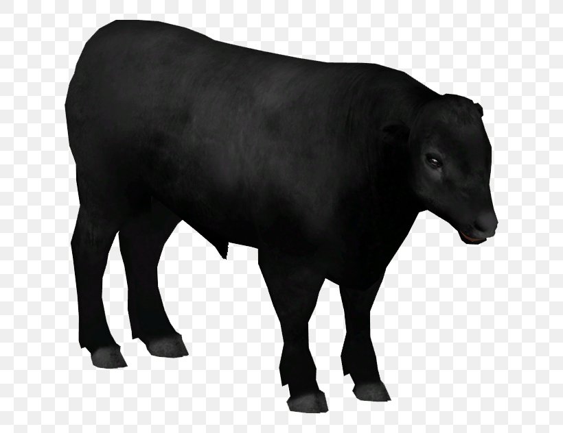 Dairy Cattle Angus Cattle Calf Aberdeen Bull, PNG, 632x632px, Dairy Cattle, Aberdeen, American Bison, Angus Cattle, Bison Bonasus Download Free