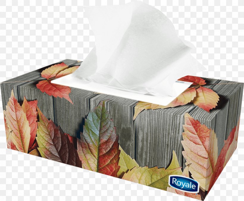 Handkerchief Facial Tissues Plastic, PNG, 969x801px, Handkerchief, Bonprix, Box, Compromise, Facial Tissues Download Free