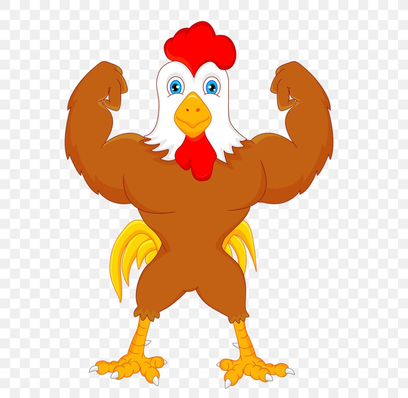 Chicken Cartoon Rooster Illustration, PNG, 577x800px, Chicken, Art, Beak, Bird, Cartoon Download Free