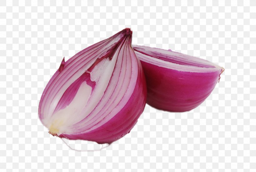 Onion Allium Fistulosum Garlic Vegetable Food, PNG, 1024x687px, Onion, Allium, Allium Fistulosum, Blood Lipids, Diet Download Free